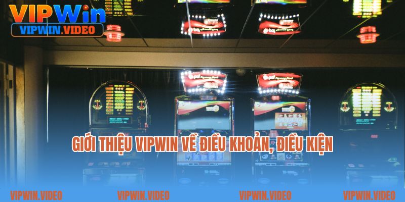 Giới thiệu Vipwin về điều khoản, điều kiện