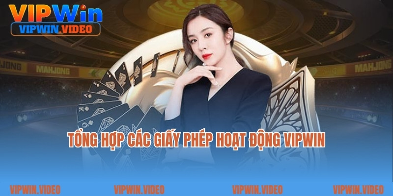 Tổng hợp các giấy phép hoạt động Vipwin